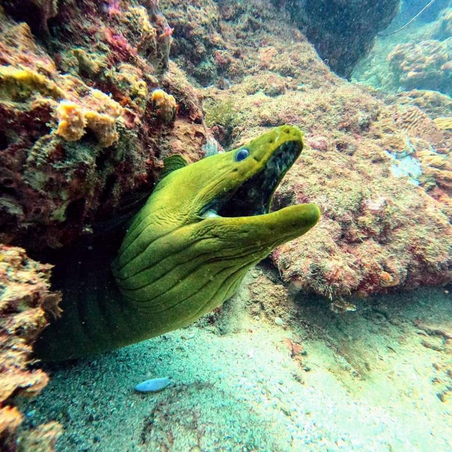 Hotel Taganga Dive Santa Marta 외부 사진